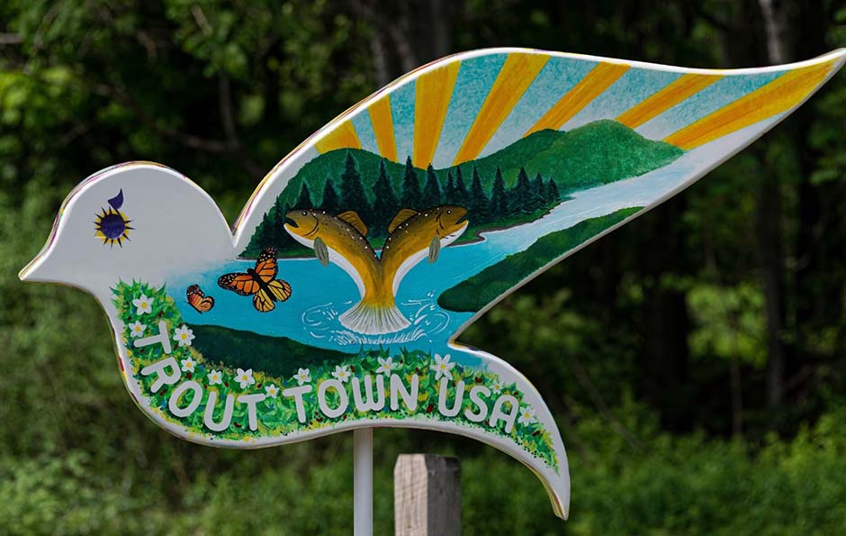 J&S Creekside Cabins Dove Trail Roscoe NY